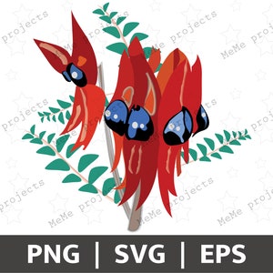 Australijski kwiat groszku pustynnego Sturt's | Cricut Print & Cut | Groszek pustynny Sturt's SVG | Flora australijska | Kwiaty australijskie | Kwiaty polne PNG