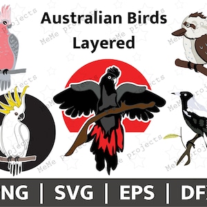 Australische vogelbundel | Gala | Kaketoe | Ekster | Kookaburra | Gelaagde vogels voor Cricut | Australische dieren | Inheemse vogel SVG | Vogel PNG
