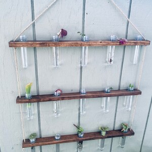 Hanging Propagation Station image 3