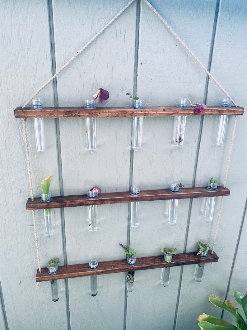 Hanging Propagation Station image 3