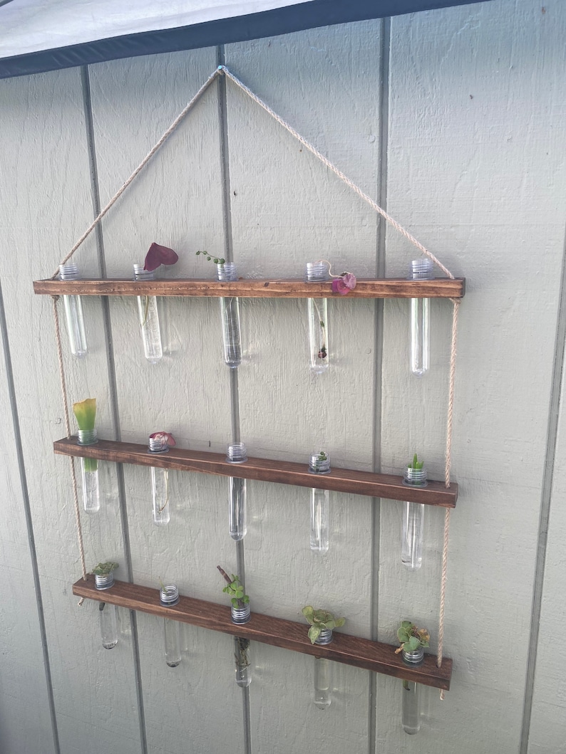 Hanging Propagation Station image 1