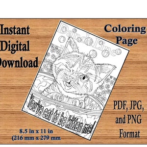 Instant Download, Digital Coloring Page, Kitten in a Bucket, Funny Animal Meme