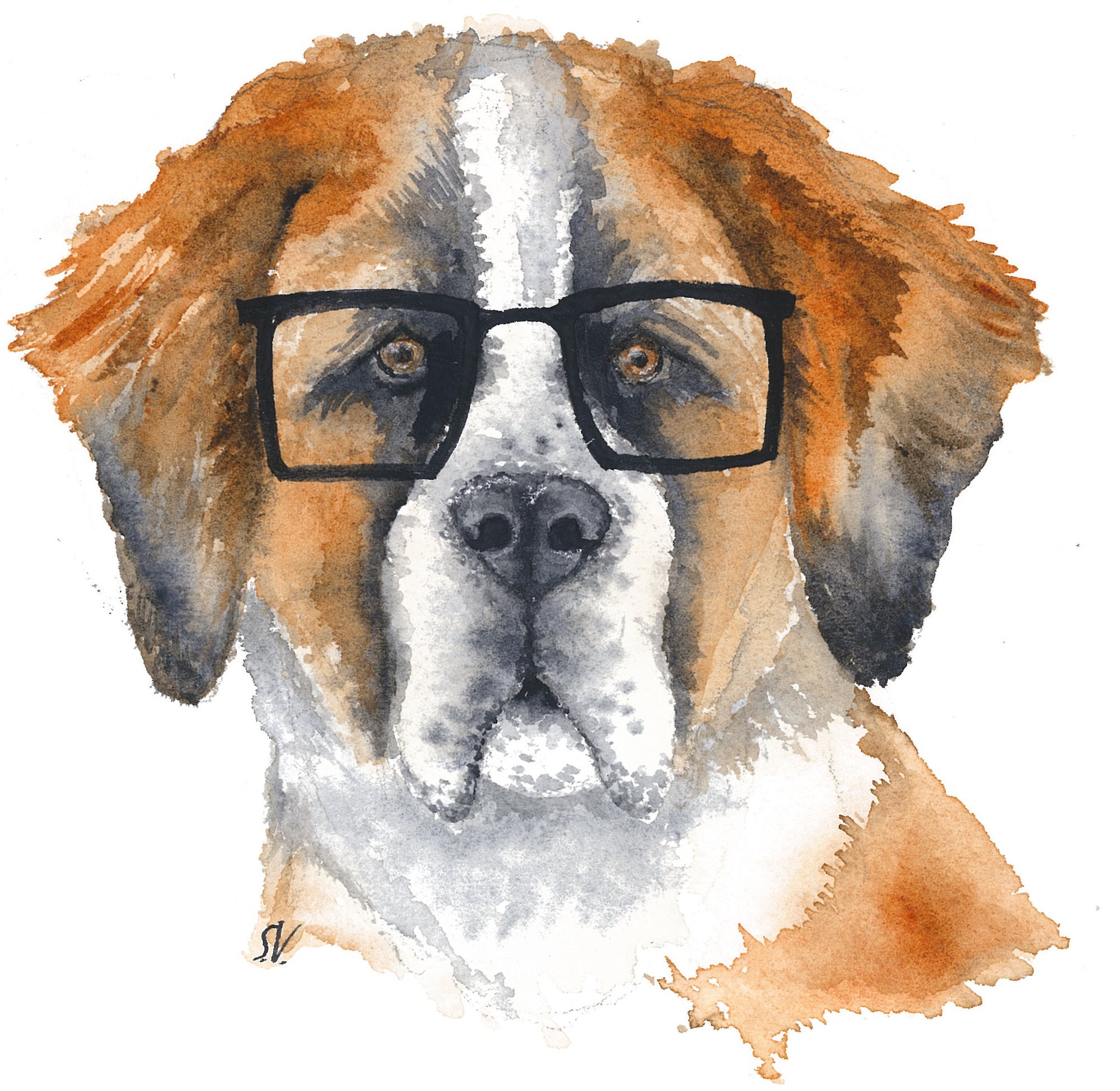 Watercolor Saint Bernard Print | Etsy