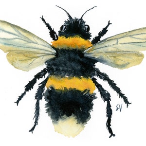 Watercolor Bumble Bee Print