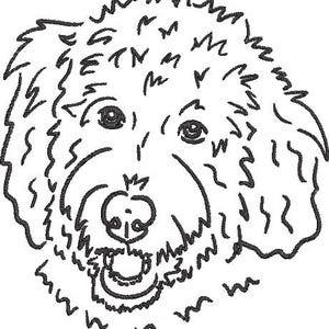 Goldendoodle Stickdatei, Doodle Hund Stickdatei, digitaler Download 30 Stickmuster