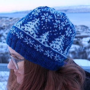 Può includere: Un cappello di lana blu e bianco con un motivo a fiocco di neve. Il cappello è indossato da una persona con i capelli lunghi e castani.