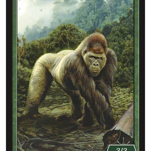 Illustration de jetons singe par David Martin Magic the Gathering Édition limitée de Givememana