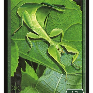 Insect Green 1/1 Art door David Martin Magic the Gathering Givememana's Tokens Limited Edition