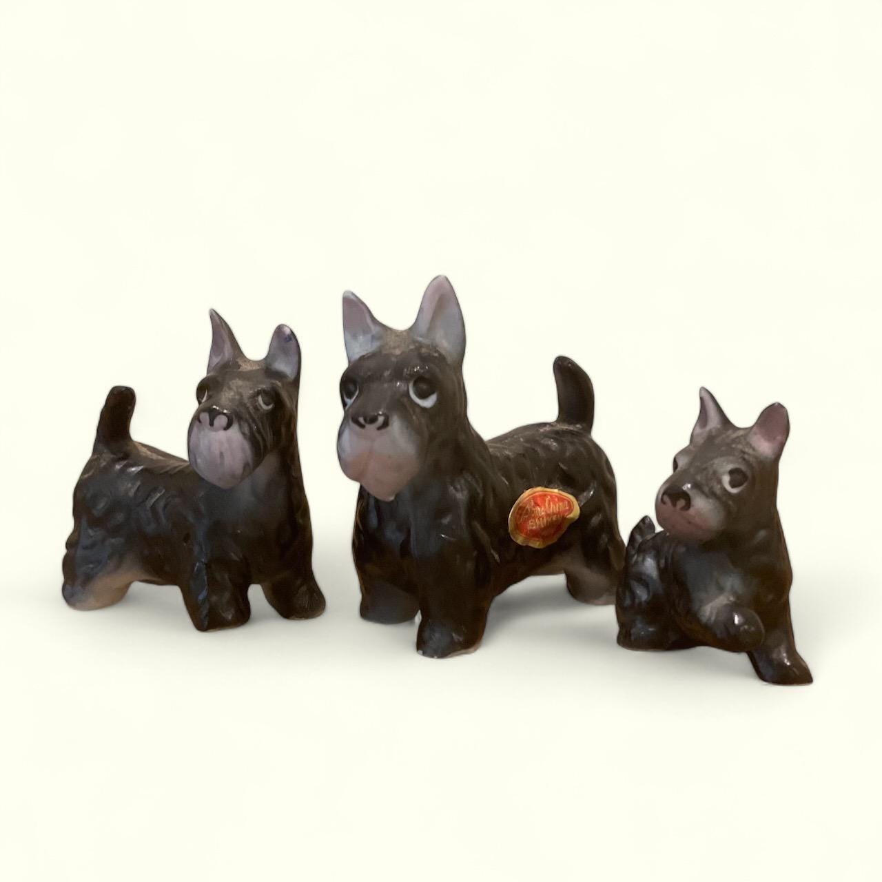 Shiken China - Etsy