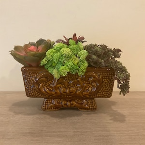 May include: A brown ceramic planter with a decorative design, filled with a variety of green and brown succulents.