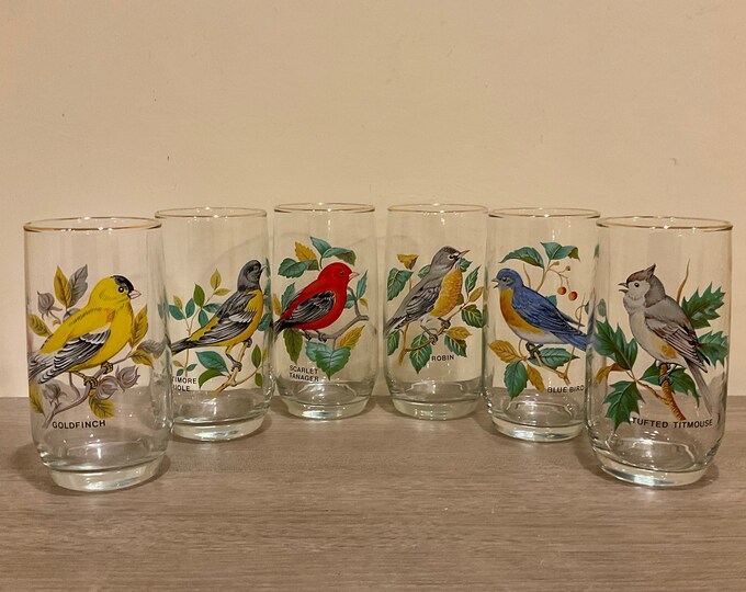 Set of 6 Vintage Bird Drinking Glasses 10 Ounce Capacity Bird Watcher