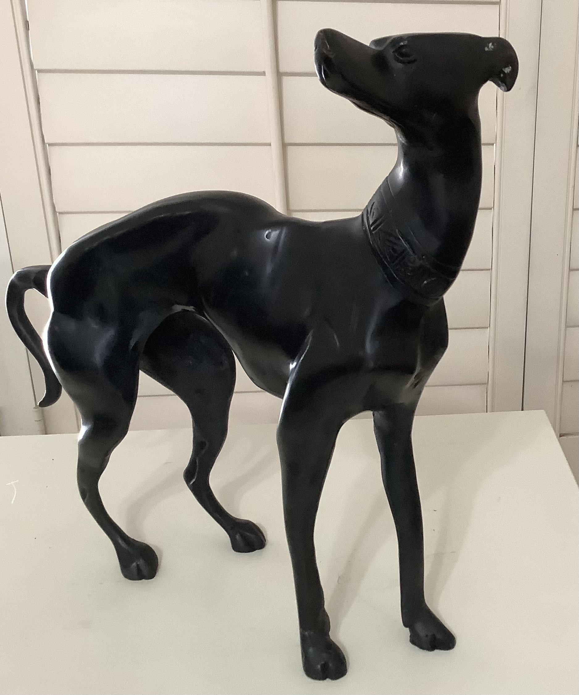 Pharaoh Dog Egyptian Whippet Egyptian Greyhound