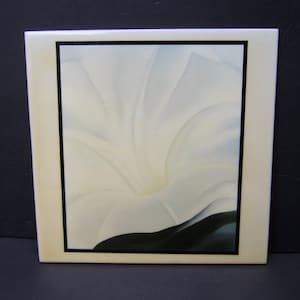 May include: A framed print of a white flower with a black background. The flower is in the center of the image and is the main focus. The background is a dark, almost black, color.