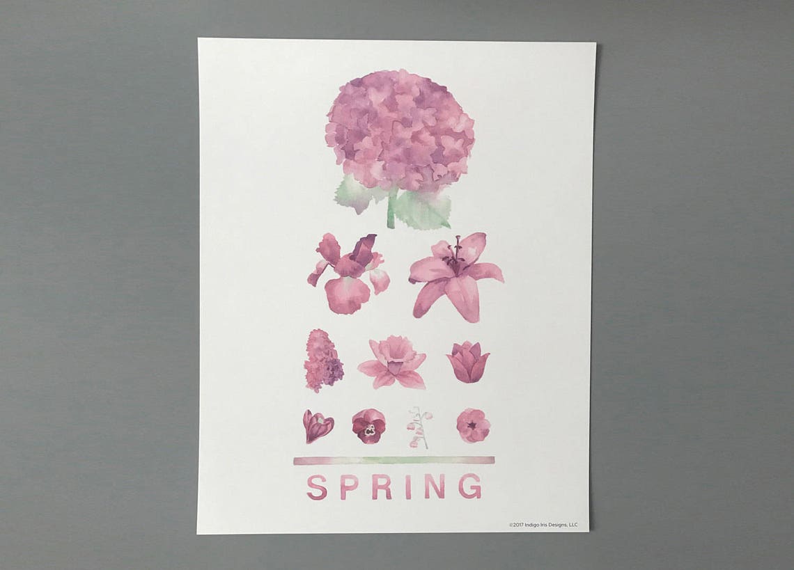 Spring Eye Chart Four Seasonal Eye Chart 8x10 Prints - Etsy
