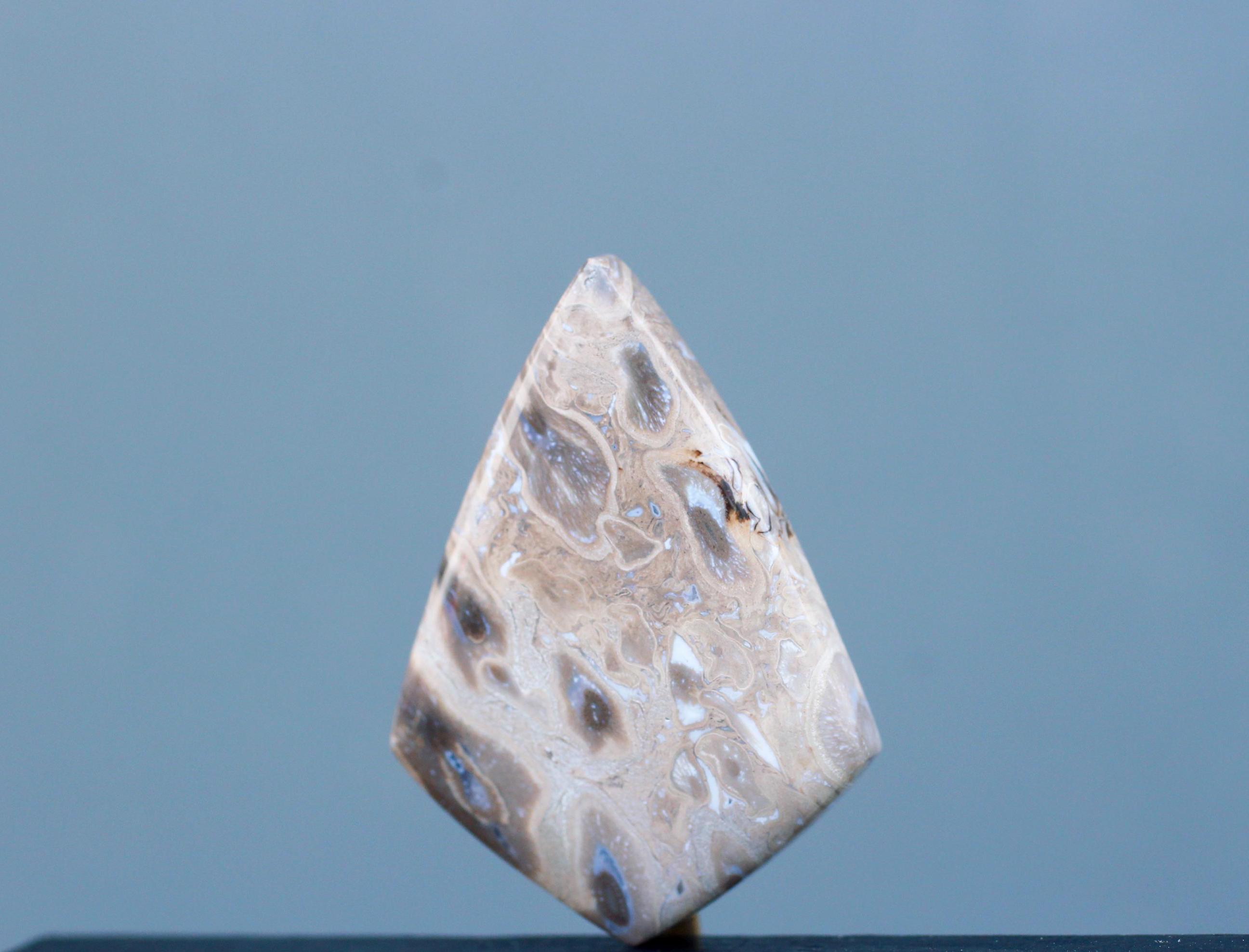Pendentif En Racine De Palmier Fossile 60 Carats - Cabochon Naturel, Référence AO36, Neuf Avec étiquettes
