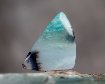 Blue Opal Petrified Wood