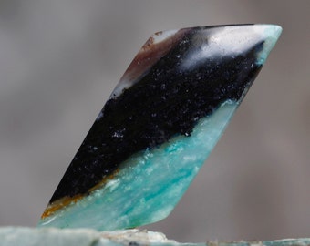 Blue Opal Petrified Wood