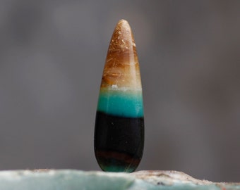 Blue Opalized Petrified Wood
