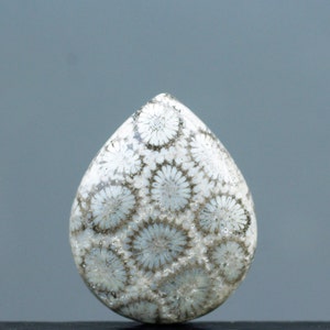 Fossilized Coral Eye Singgle , Indonesia Fossilized Gemstone, Loose Gemstone For Making Jewelry, Gift Personal