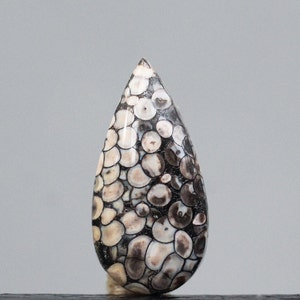 May include: A teardrop-shaped cabochon gemstone with a black and white pattern. The stone is made of fossilized shell and has a unique, organic look.