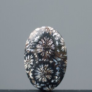 Fossilized Coral Eye Singgle , Indonesia Fossilized Gemstone, Loose Gemstone For Making Jewelry, Gift Personal