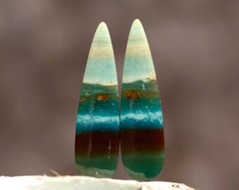 Blue Opalized Petrified Wood Pairs