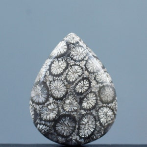 Fossilized Coral Eye Singgle , Indonesia Fossilized Gemstone, Loose Gemstone For Making Jewelry, Gift Personal