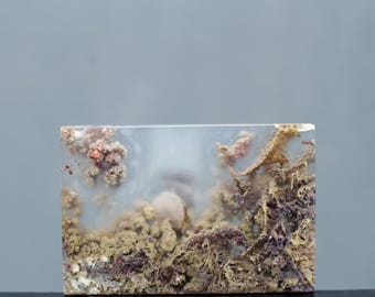 Indonesian Moss Agate Cabochon: Grounding Gemstone (42x20x5 mm)