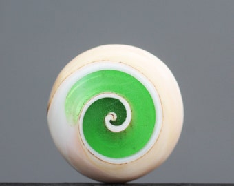 Pendentif Cabochon En Racine De Palmier Fossile - 60 Carats - Naturel - Indonésie