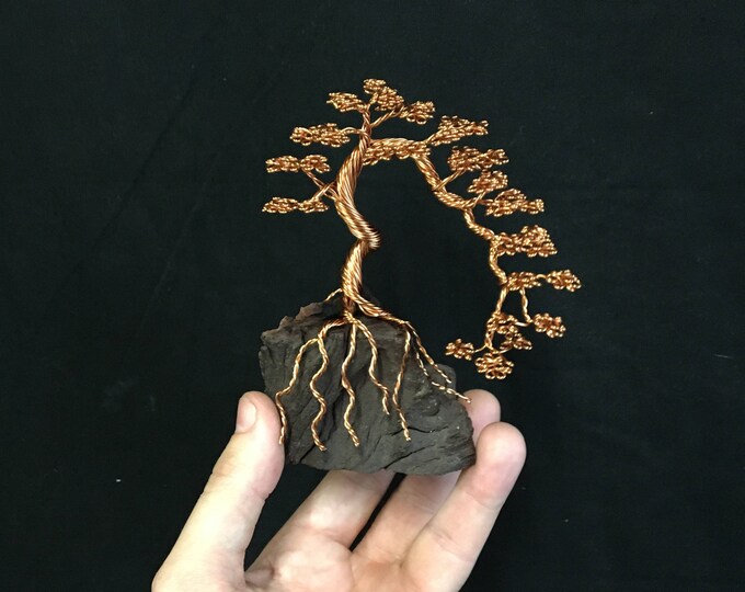 Arched Bonsai Wire Sculpture Etsy