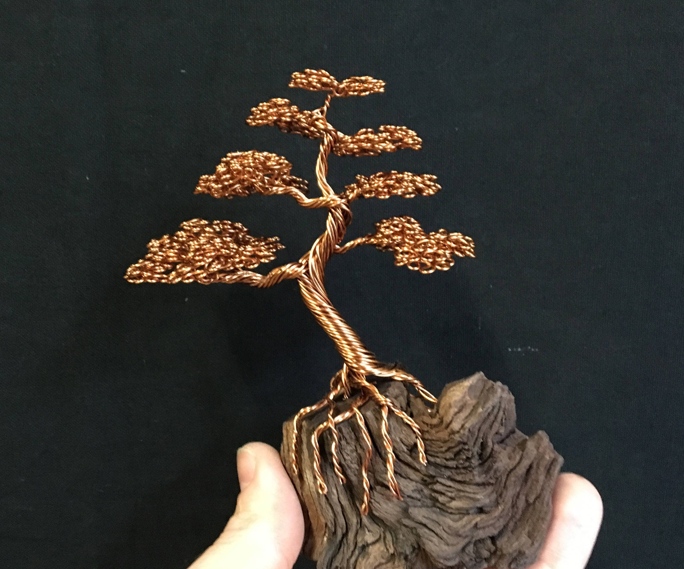 Informal Upright Bonsai Sculpture Attached to Driftwood Etsy UK