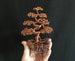 Informal/ Upright Copper Bonsai Wire Sculpture 