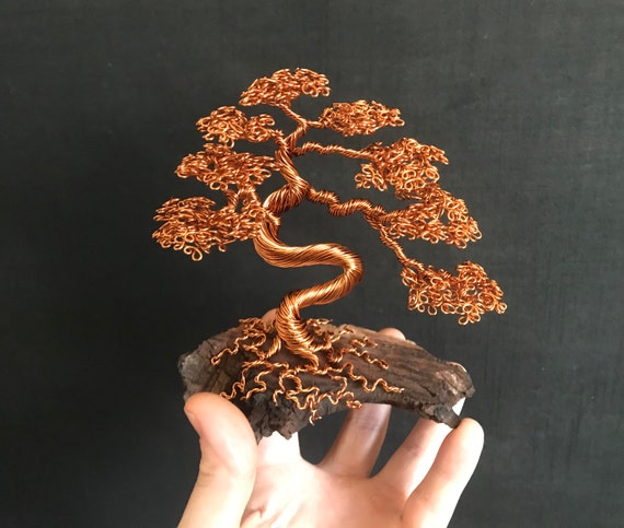 Alambre bonsai fotografías e imágenes de alta resolución - Alamy