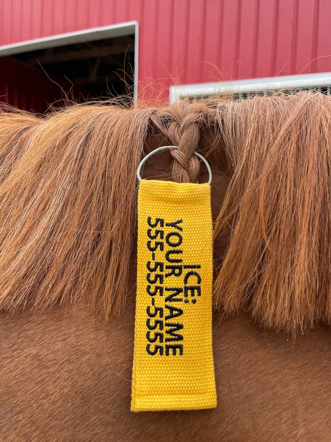 In Case of Emergency Tags for Horses and Pets Use for Hurricanes, Fires