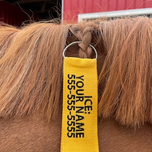 In Case of Emergency Tags for Horses and Pets Use for Hurricanes, Fires, Long Distance Shipping, Flying