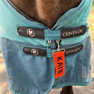 May include: A teal blue horse fly sheet with black straps and a black Centaur logo. The sheet has a red name tag that says "Katie".
