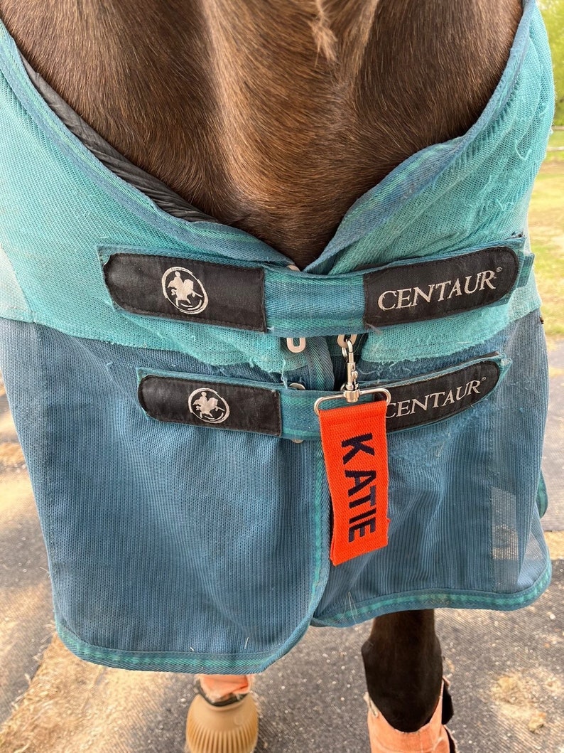 May include: A teal blue horse fly sheet with black straps and a black Centaur logo. The sheet has a red name tag that says "Katie".