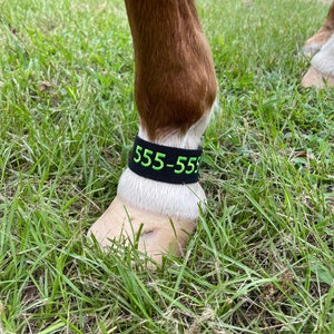 In Case of Emergency Ankle Pastern Band for Horses- Use for Hurricanes, Fires, Long Distance Shipping