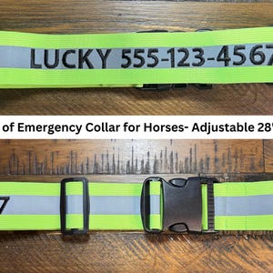 In Case of Emergency Collar for Horses- Fluorescent- Reflective- Stretchy- Adjustable