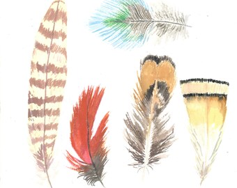 Feathers Print- Giclee Fine Art Print of Original Gouache Painting