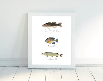 Custom Fish Print-Largemouth Bass, Bluegill and Northern Pike