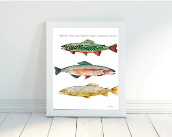 Fish Series-Brook Trout, Rainbow Trout and Brown Trout