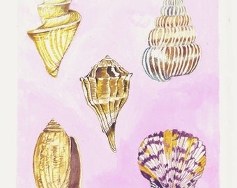 Seashells Print- Giclee Fine Art Print of Original Gouache Painting