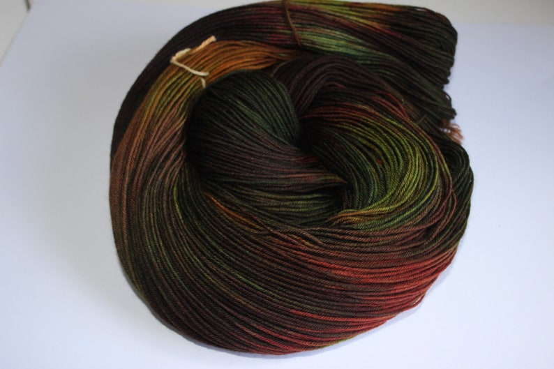 Forest Dweller 100g Superwash Platinum Sock Yarn image 7