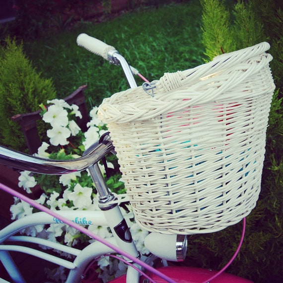 bike shopping bag
