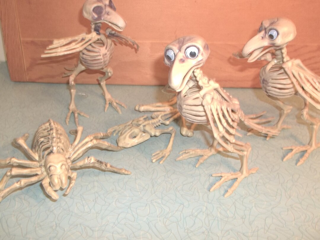 Vintage 5 Piece Small Animal Skeletons Etsy