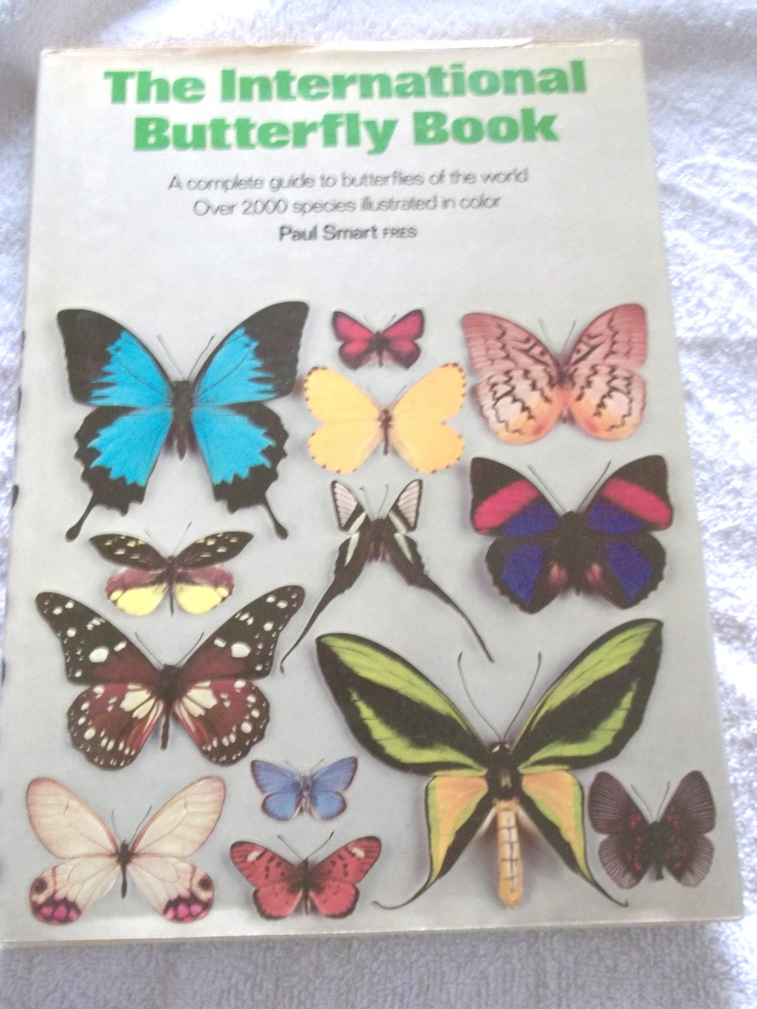 The International Butterfly Book 英語版 初版本 The International Butterfly Book 英語版 初版本 - メルカリ