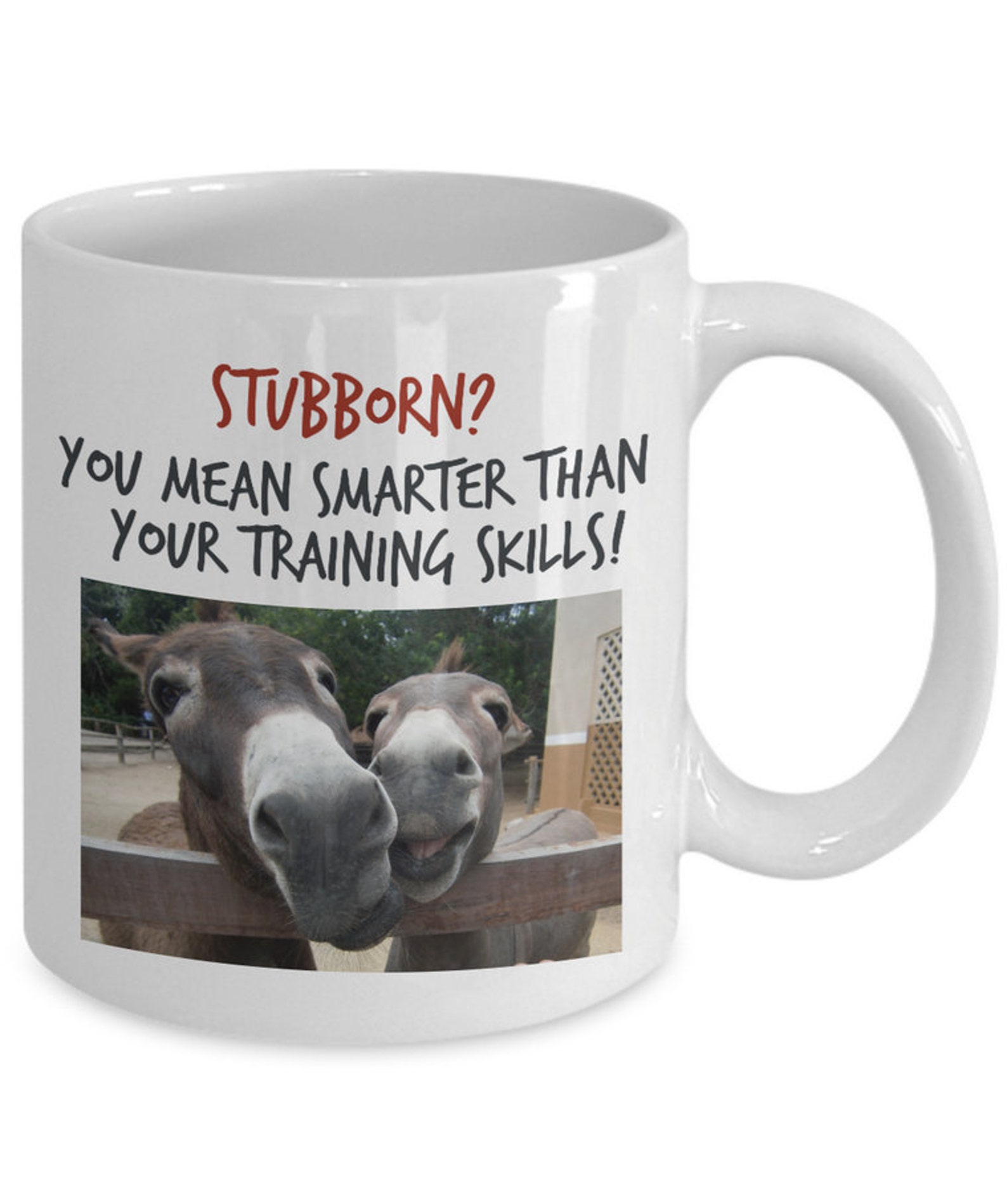 Funny Donkey Coffee Mug. Donkey Gifts for Donkey Lovers. Funny Donkey