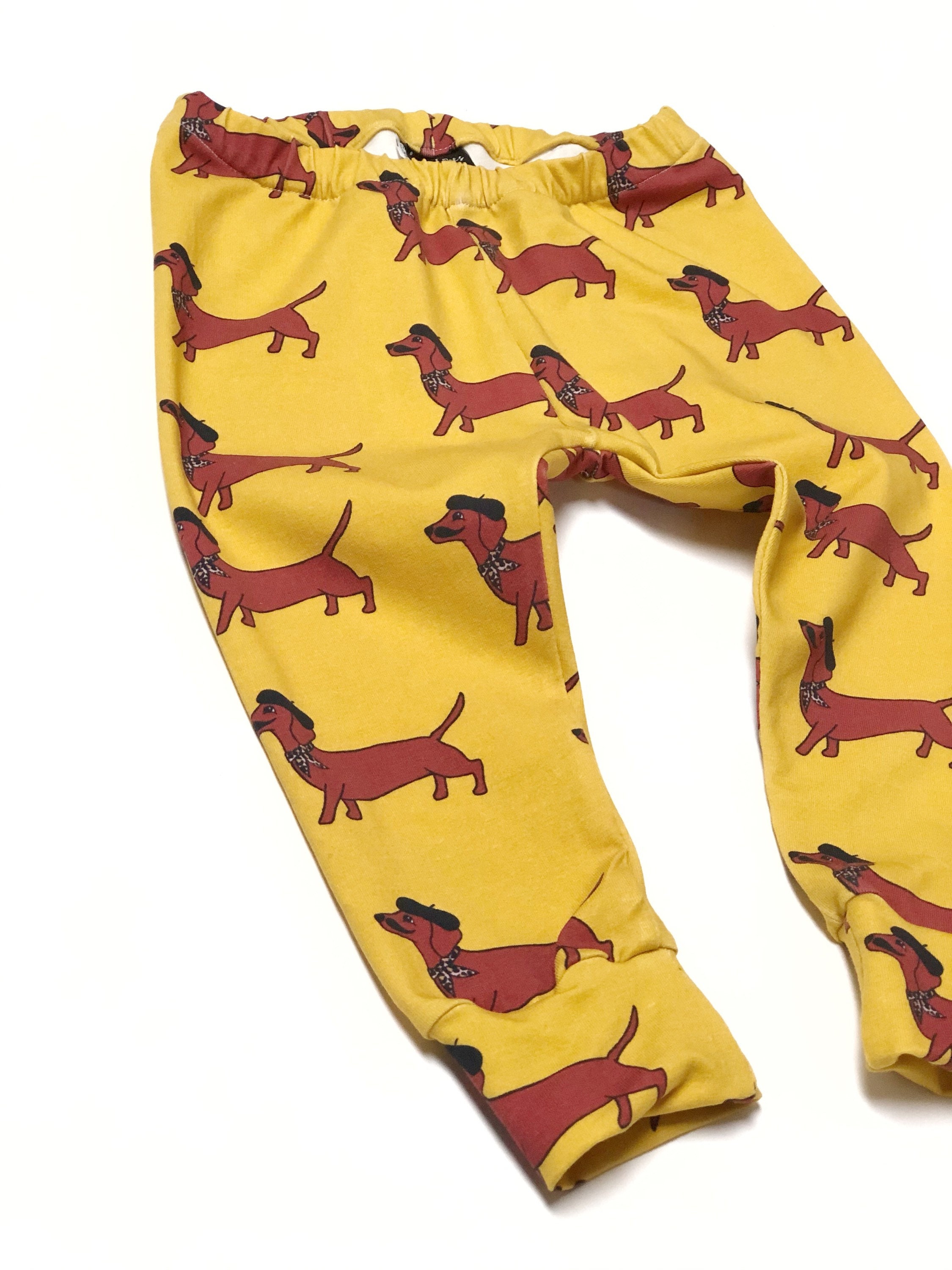 dachshund leggings