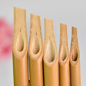 20 Stück Bündel Kalligraphie Reed Pen Qalam, Kalam Arabisch, Farsi, Hebräisch, Kurdisch und Urdu Set